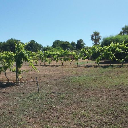 Villa Kos Masztihári Kültér fotó