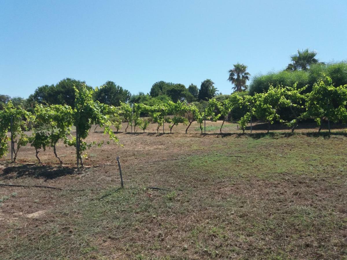 Villa Kos Masztihári Kültér fotó