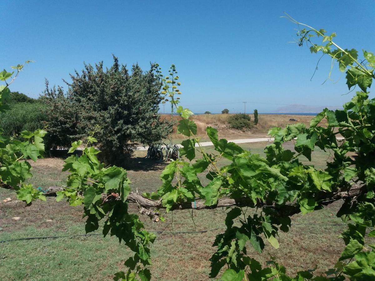 Villa Kos Masztihári Kültér fotó